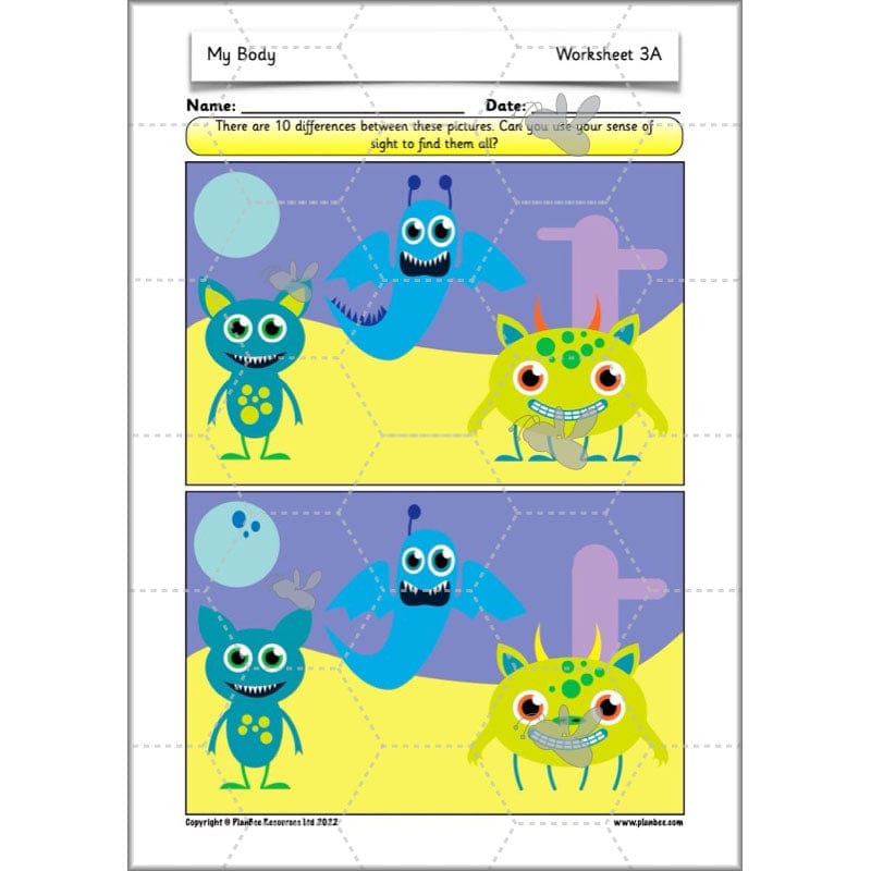 PlanBee Parts of the Body KS1 Science lessons by PlanBee