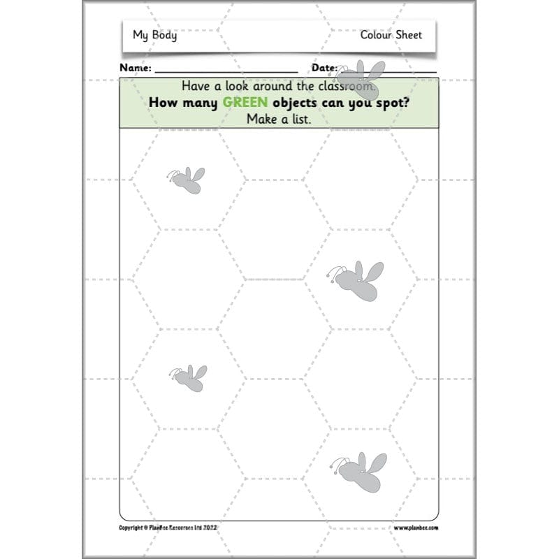 PlanBee Parts of the Body KS1 Science lessons by PlanBee
