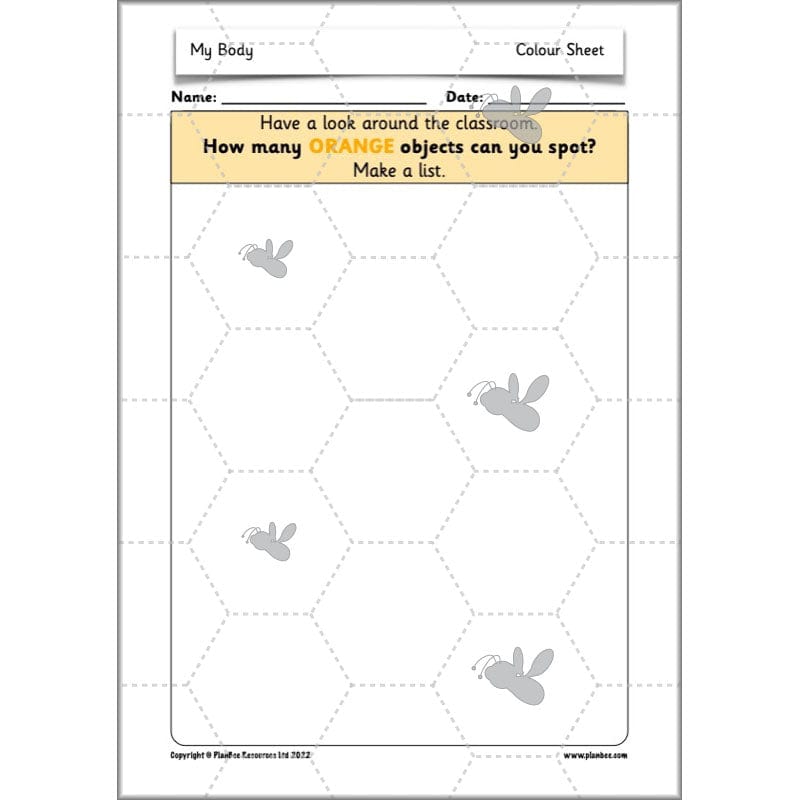 PlanBee Parts of the Body KS1 Science lessons by PlanBee