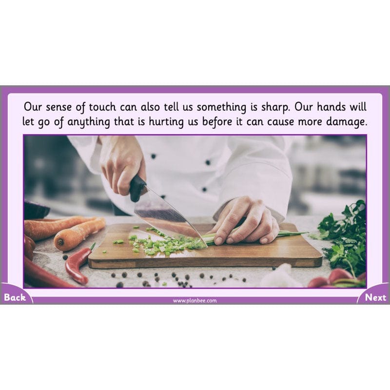 PlanBee Parts of the Body KS1 Science lessons by PlanBee