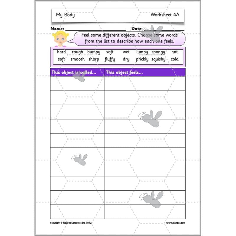 PlanBee Parts of the Body KS1 Science lessons by PlanBee