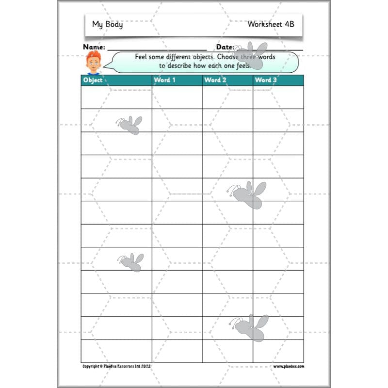 PlanBee Parts of the Body KS1 Science lessons by PlanBee