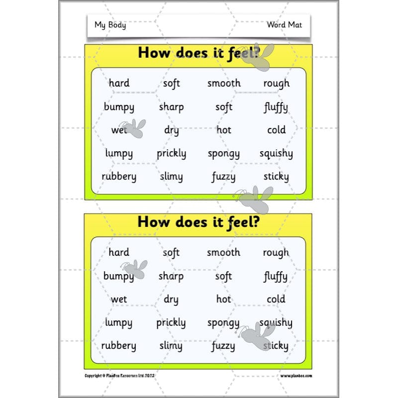 PlanBee Parts of the Body KS1 Science lessons by PlanBee