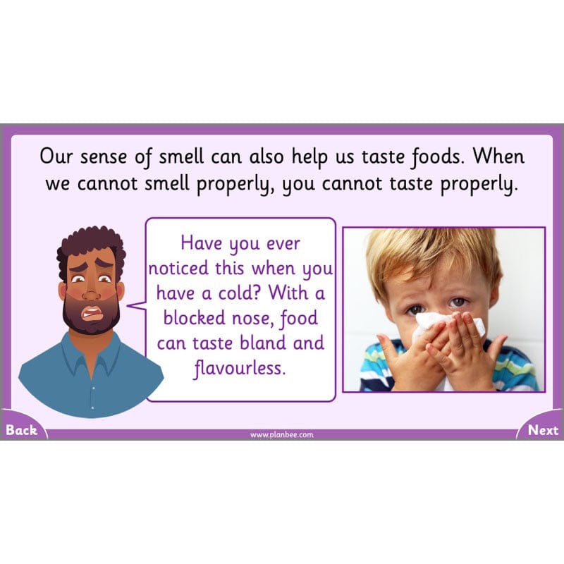 PlanBee Parts of the Body KS1 Science lessons by PlanBee