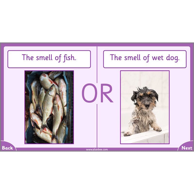 PlanBee Parts of the Body KS1 Science lessons by PlanBee