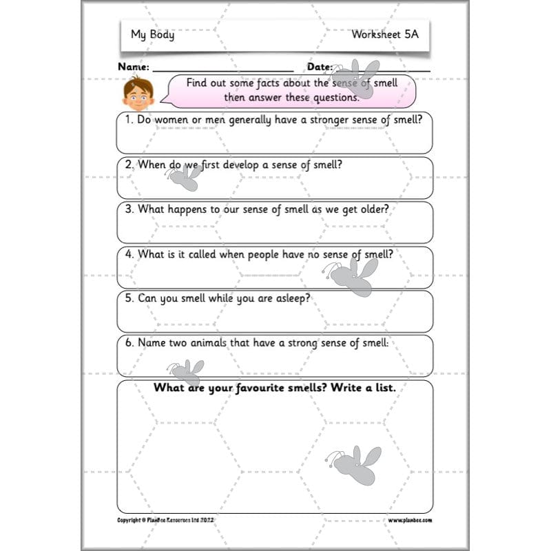 PlanBee Parts of the Body KS1 Science lessons by PlanBee