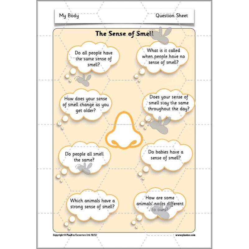 PlanBee Parts of the Body KS1 Science lessons by PlanBee