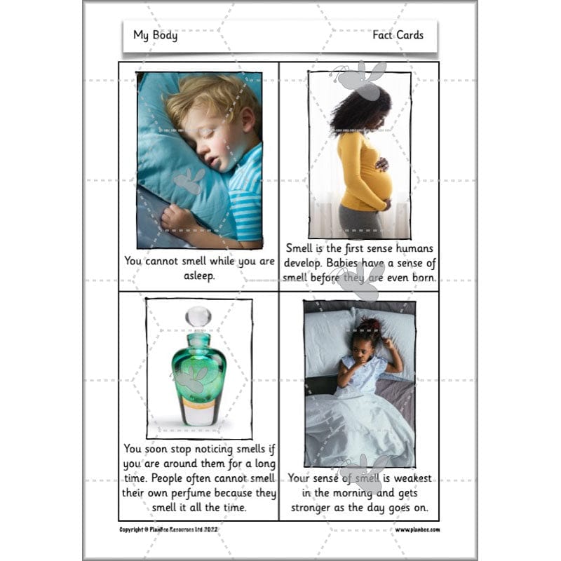 PlanBee Parts of the Body KS1 Science lessons by PlanBee