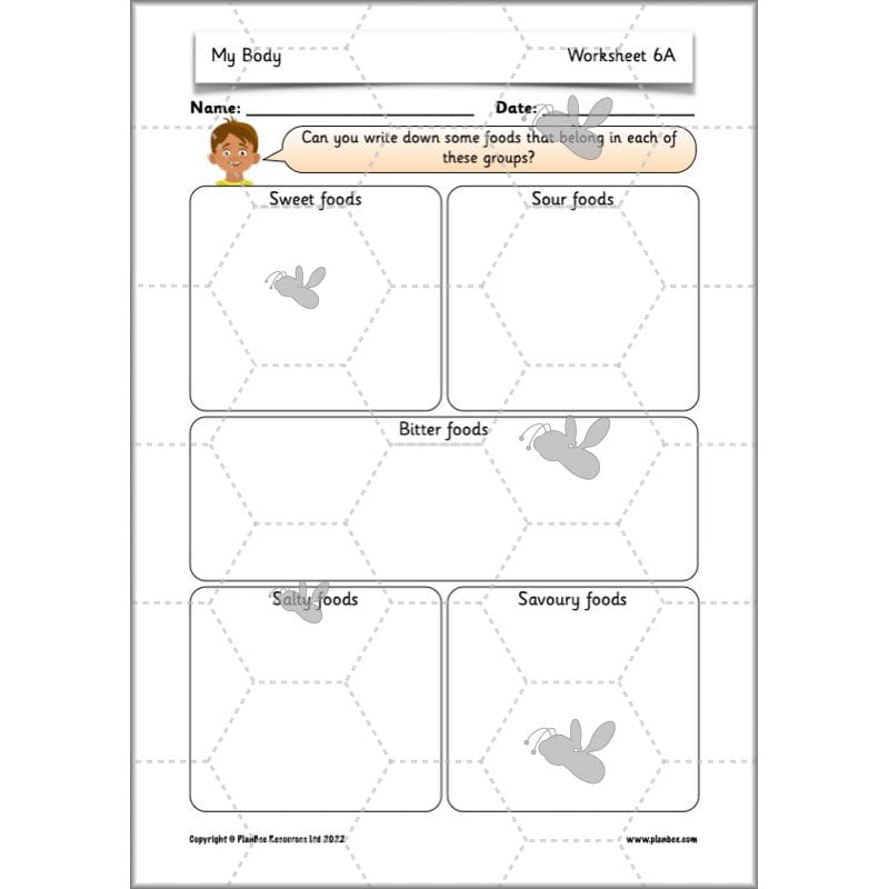 PlanBee Parts of the Body KS1 Science lessons by PlanBee