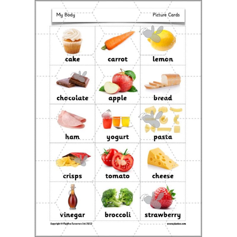 PlanBee Parts of the Body KS1 Science lessons by PlanBee