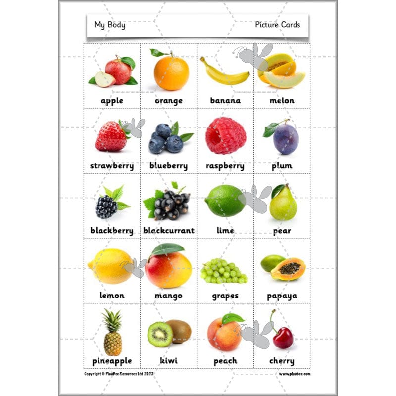 PlanBee Parts of the Body KS1 Science lessons by PlanBee