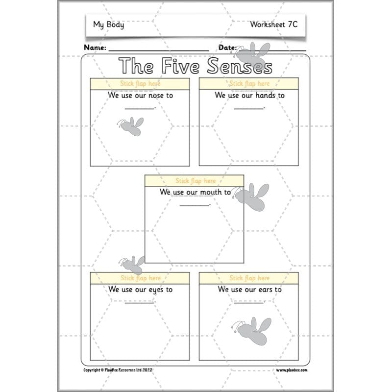 PlanBee Parts of the Body KS1 Science lessons by PlanBee