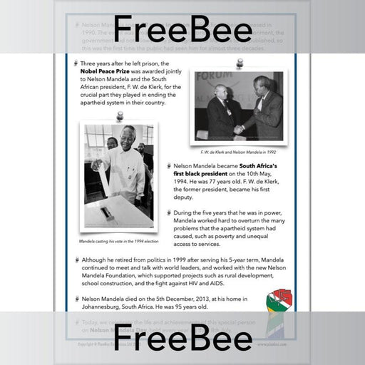 PlanBee FREE Nelson Mandela Fact File by PlanBee