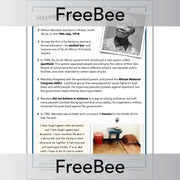 PlanBee FREE Nelson Mandela Fact File by PlanBee