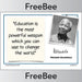 PlanBee FREE Nelson Mandela Poster Quotes by PlanBee