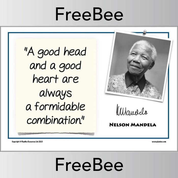 PlanBee FREE Nelson Mandela Poster Quotes by PlanBee