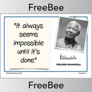 PlanBee FREE Nelson Mandela Poster Quotes by PlanBee