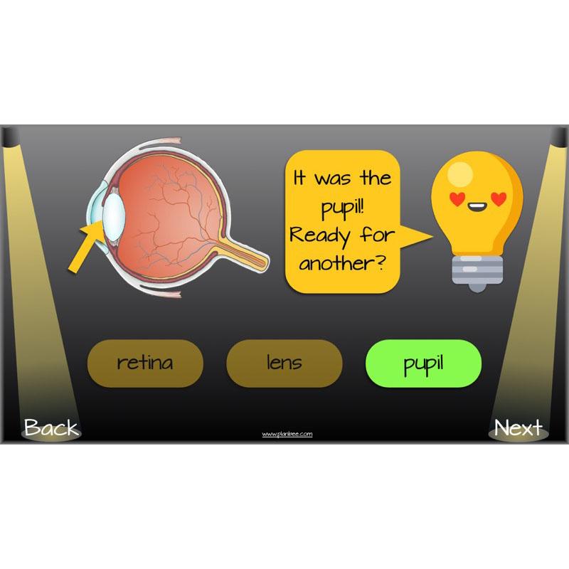 PlanBee Seeing Light KS2 Planning Pack | Year 6 Science Lessons