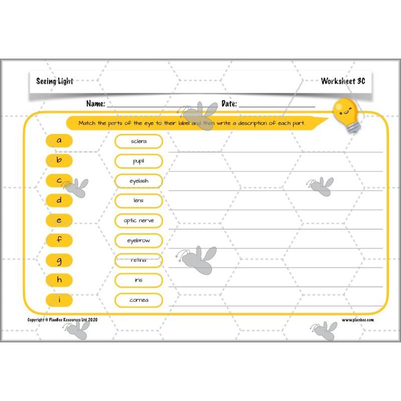 PlanBee Seeing Light KS2 Planning Pack | Year 6 Science Lessons