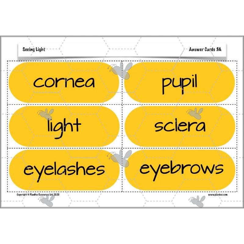 PlanBee Seeing Light KS2 Planning Pack | Year 6 Science Lessons