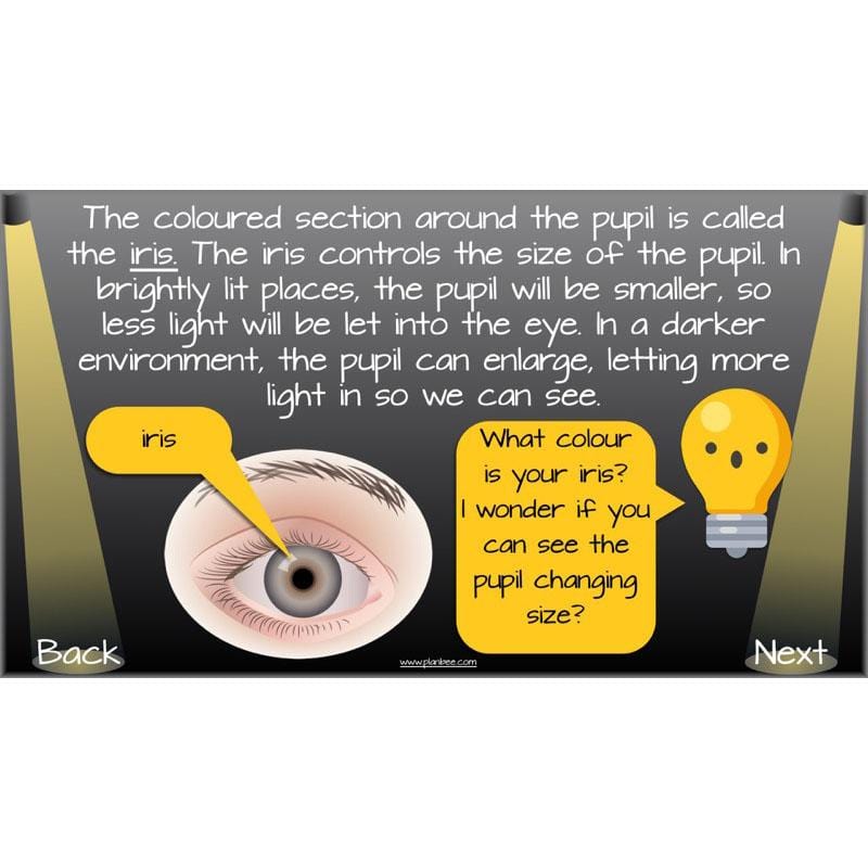 PlanBee Seeing Light KS2 Planning Pack | Year 6 Science Lessons