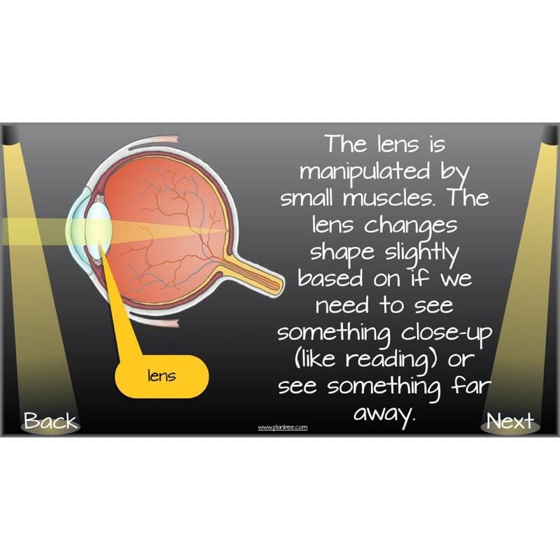 PlanBee Seeing Light KS2 Planning Pack | Year 6 Science Lessons