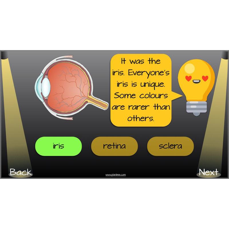 PlanBee Seeing Light KS2 Planning Pack | Year 6 Science Lessons