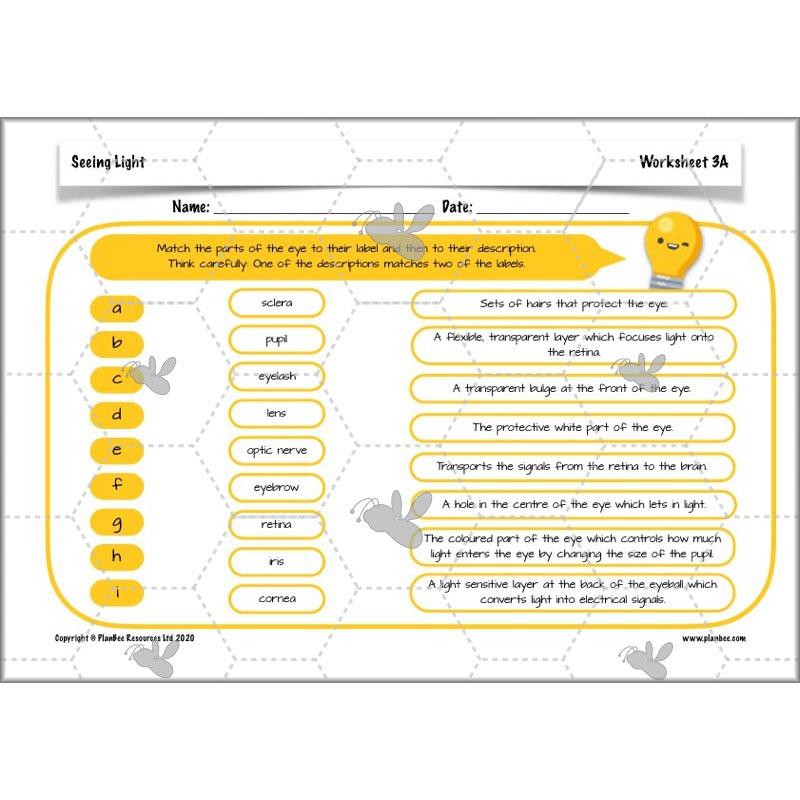PlanBee Seeing Light KS2 Planning Pack | Year 6 Science Lessons