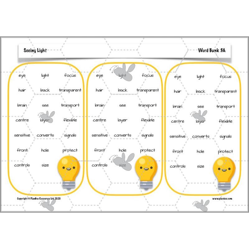 PlanBee Seeing Light KS2 Planning Pack | Year 6 Science Lessons
