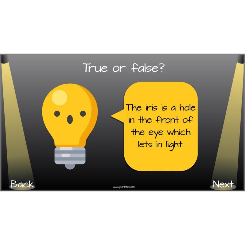 PlanBee Seeing Light KS2 Planning Pack | Year 6 Science Lessons