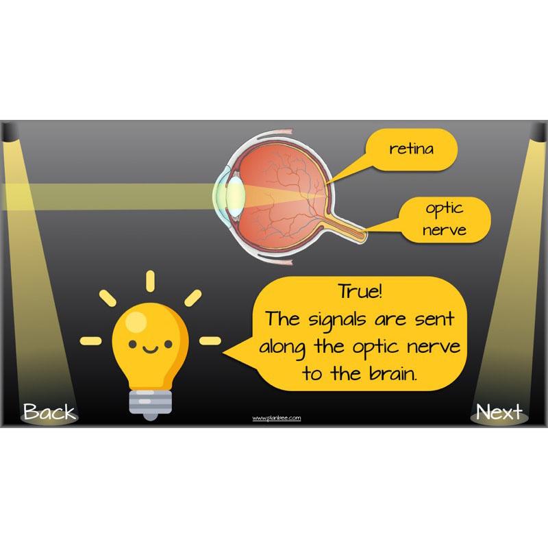 PlanBee Seeing Light KS2 Planning Pack | Year 6 Science Lessons