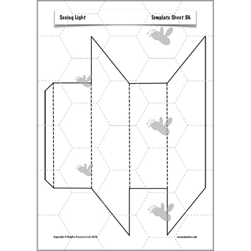 PlanBee Seeing Light KS2 Planning Pack | Year 6 Science Lessons