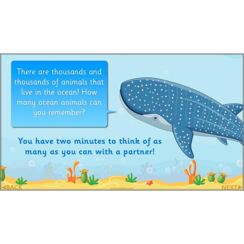 PlanBee FREE Under the Sea KS1 Ocean Animals lesson pack | PlanBee