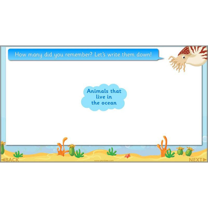 PlanBee FREE Under the Sea KS1 Ocean Animals lesson pack | PlanBee