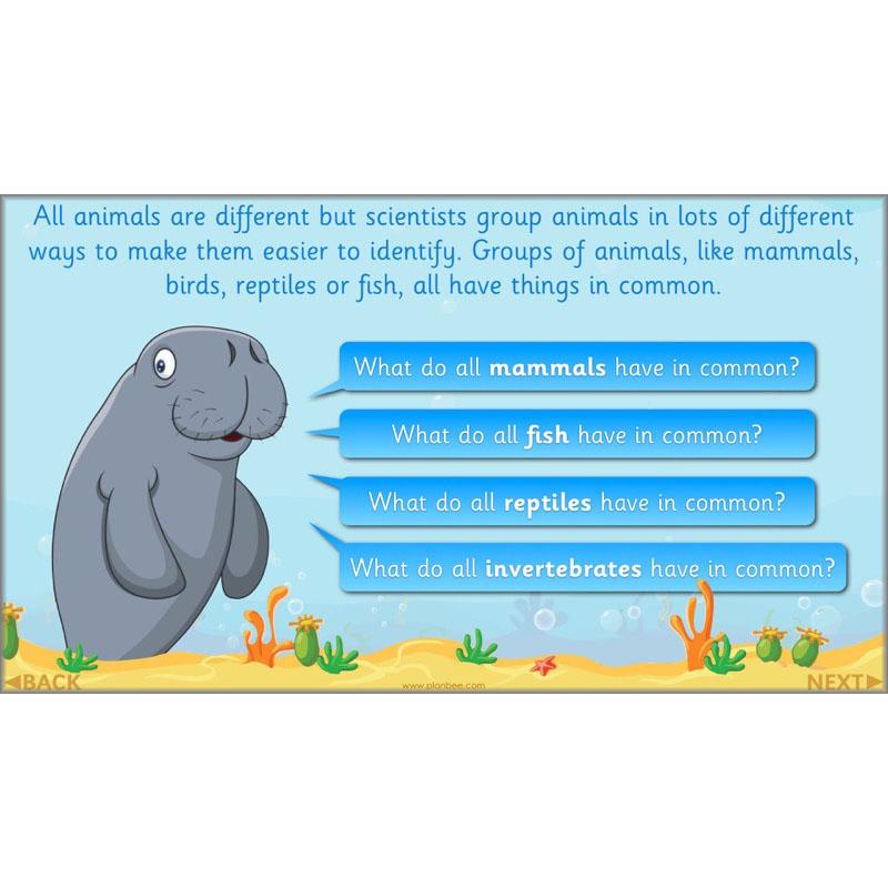 PlanBee FREE Under the Sea KS1 Ocean Animals lesson pack | PlanBee