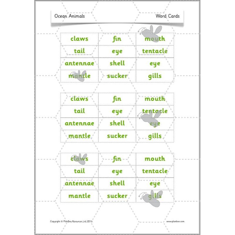 PlanBee FREE Under the Sea KS1 Ocean Animals lesson pack | PlanBee