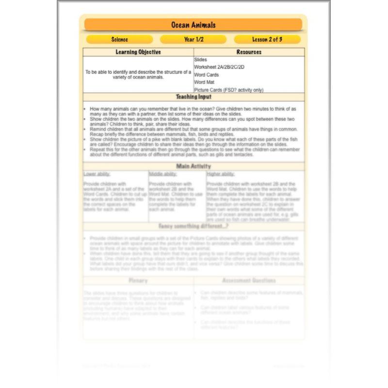 PlanBee FREE Under the Sea KS1 Ocean Animals lesson pack | PlanBee