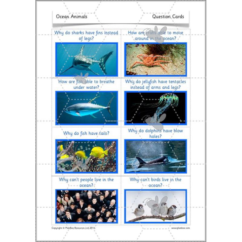 PlanBee FREE Under the Sea KS1 Ocean Animals lesson pack | PlanBee