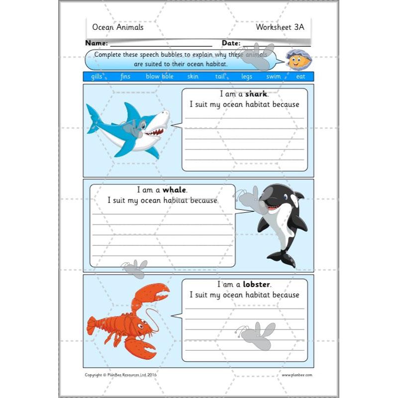 PlanBee FREE Under the Sea KS1 Ocean Animals lesson pack | PlanBee