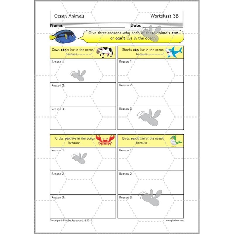 PlanBee FREE Under the Sea KS1 Ocean Animals lesson pack | PlanBee