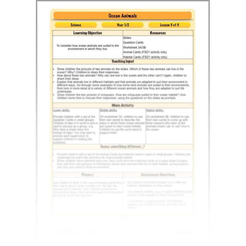 PlanBee FREE Under the Sea KS1 Ocean Animals lesson pack | PlanBee