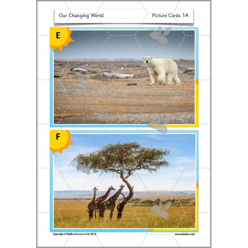 PlanBee Our Changing World KS1 ESR Lessons by PlanBee