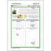 PlanBee Parts and Percentages: Year 6 ratio and proportion