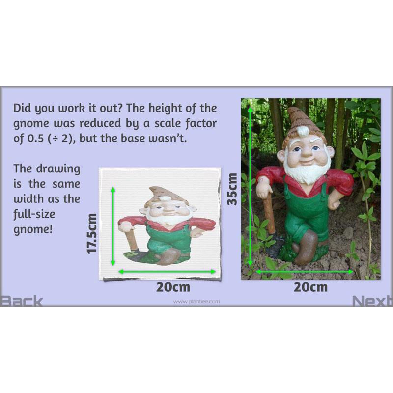 PlanBee Parts and Proportion: ratio KS2 Maths lesson planning