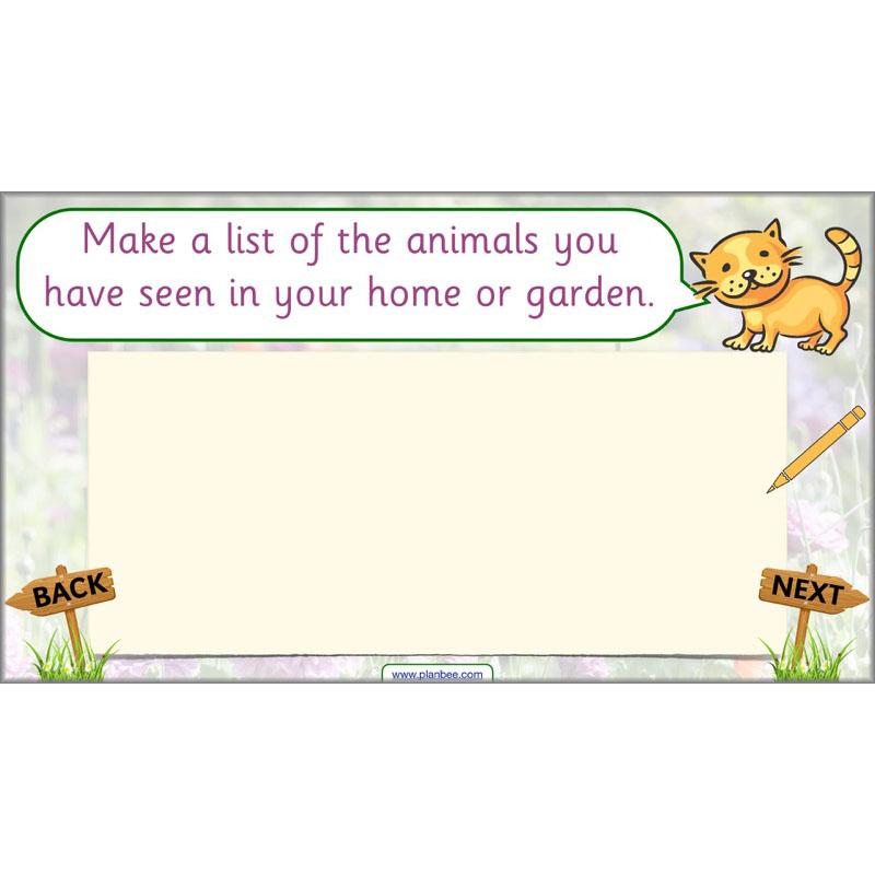 PlanBee Pets and Gardens Year 1 Science Lesson Plans by PlanBee
