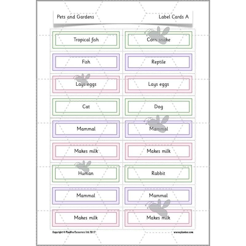 PlanBee Pets and Gardens Year 1 Science Lesson Plans by PlanBee