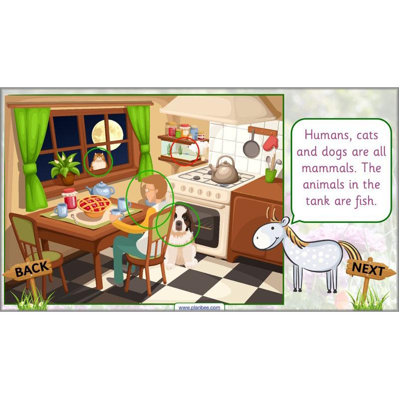 PlanBee Pets and Gardens Year 1 Science Lesson Plans by PlanBee