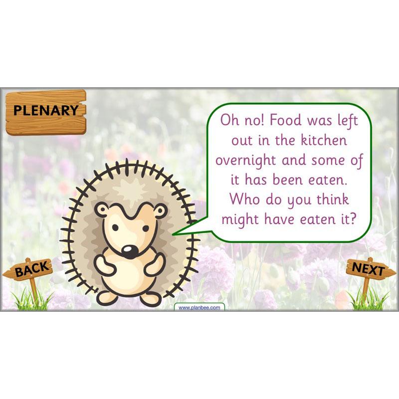 PlanBee Pets and Gardens Year 1 Science Lesson Plans by PlanBee