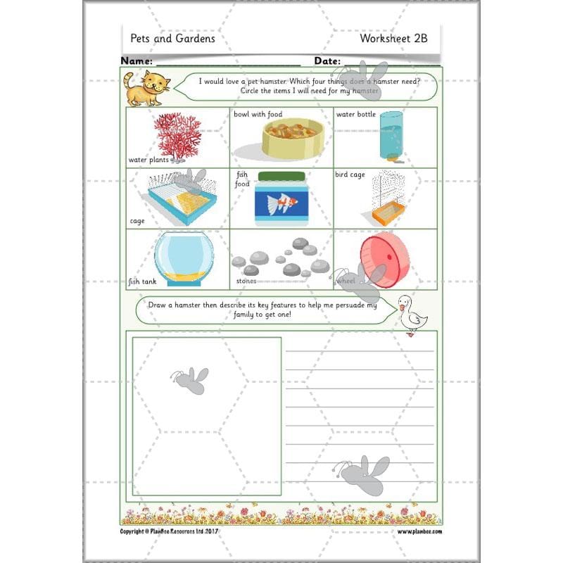 PlanBee Pets and Gardens Year 1 Science Lesson Plans by PlanBee