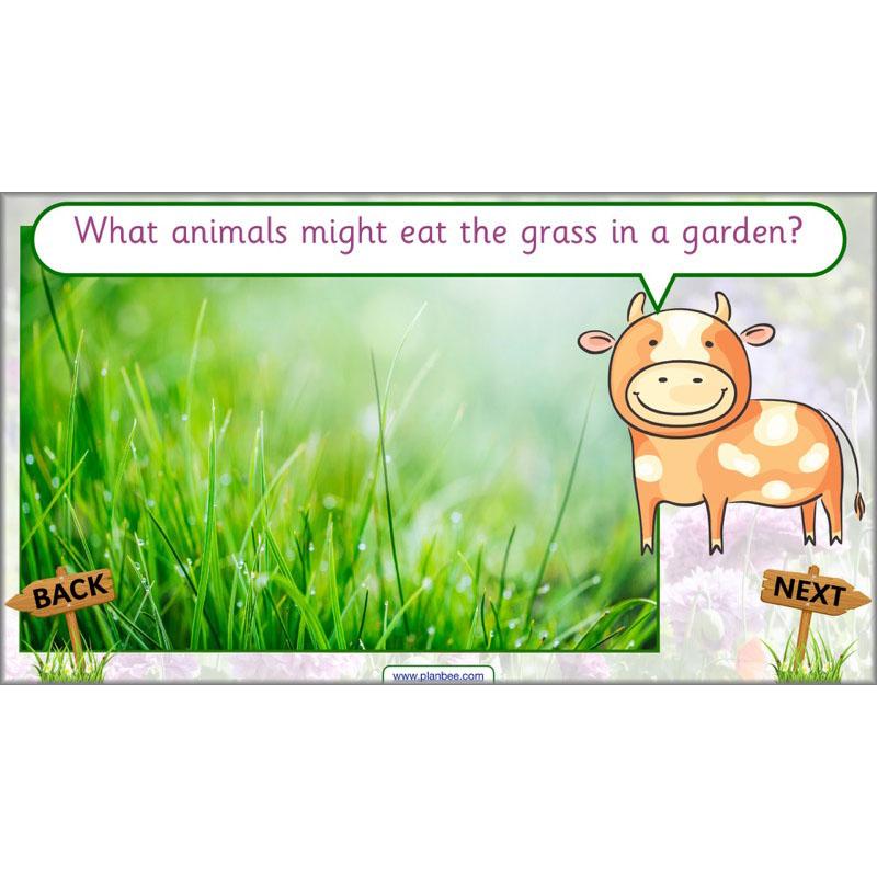 PlanBee Pets and Gardens Year 1 Science Lesson Plans by PlanBee